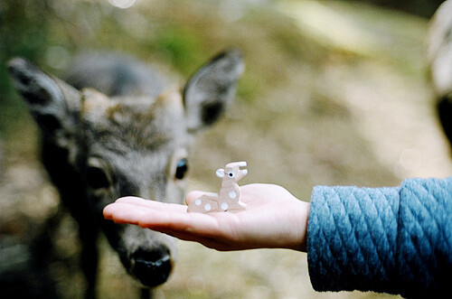【雨天/季伶】最喜欢小鹿啦。
