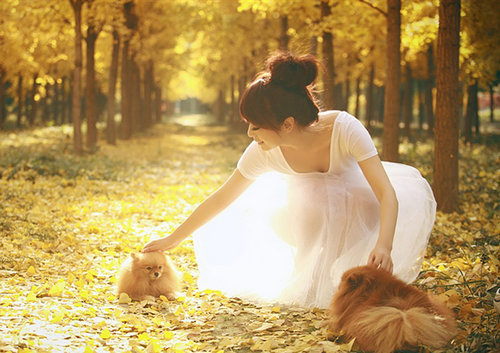 喜欢与动物一起