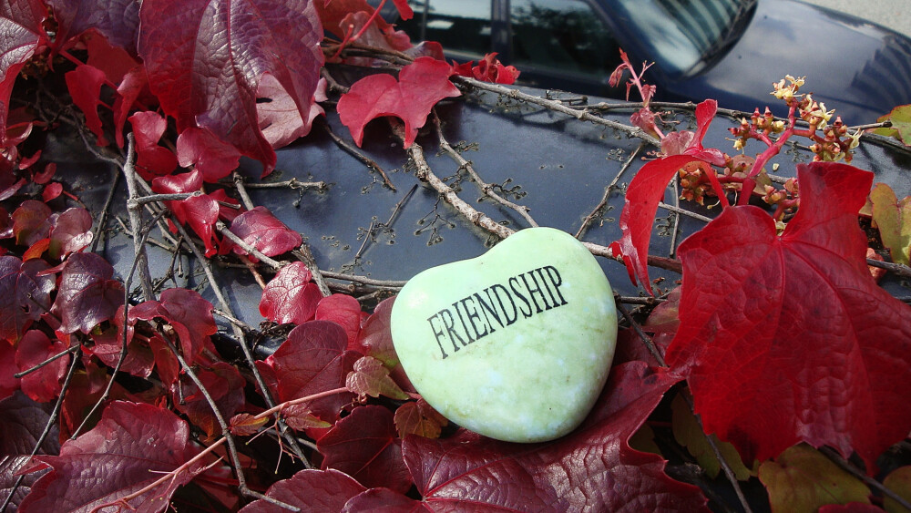 friendship stone