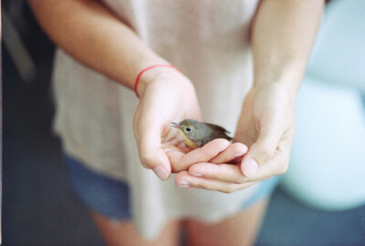 【雨天/季伶】看着它。一天天长大。