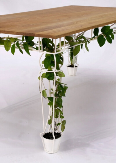 盆栽花园桌。你难道不想在绿意环绕中进餐吗？