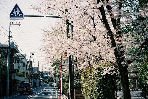 滑溜溜的相册-日本街巷