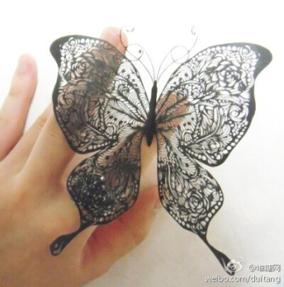 蝴蝶是种漂亮的生物！！
