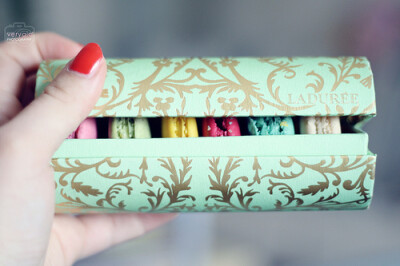 犹抱琵琶半遮面的MACARON