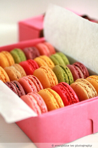 MACARON