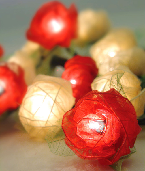 mi。玫瑰花灯。http://www.thefancy.com/things/259086837/Rose-Lights