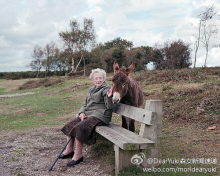 【就这样慢慢老去】我们都在世界的某个角落，拥有自己的小小幸福生活着。我们会慢慢的老去，可是心还是温暖的纯真的，懂得知足懂得感恩，老去也并不可怕，更增添了一份慈祥与淡然。所谓返老还童，老人如小孩，老去也是快乐的。