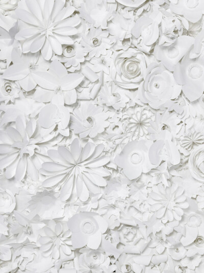 白色的剪纸花朵