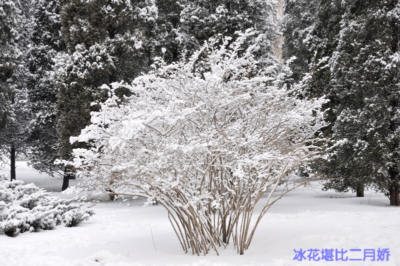 颐和园 雪景