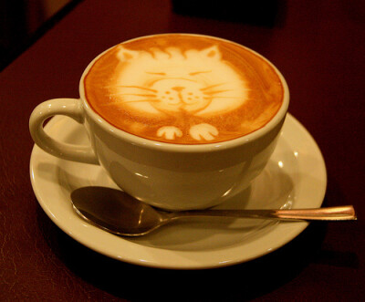 萌萌的猫咪咖啡