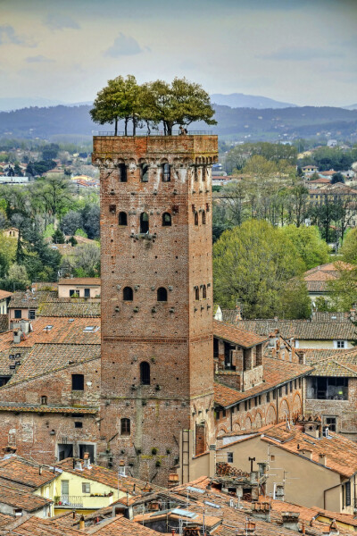 The Guinigi Tower