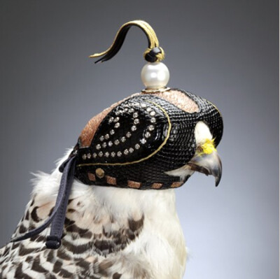 钻石猎鹰遮光罩，王室猎鹰专用的吧……