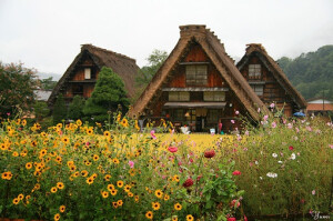 风车 木屋 花朵