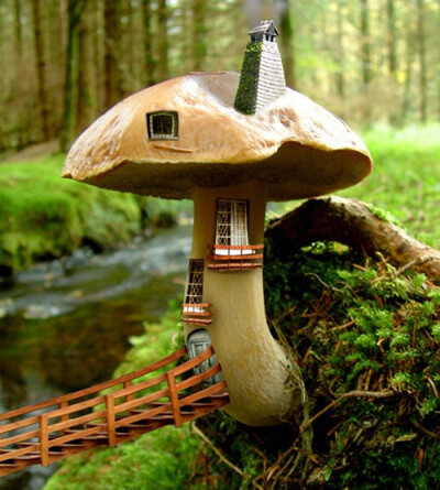 &gt;▽&lt; ~❤ 蘑菇之家