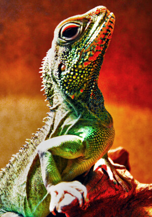 哇 美人 你好优雅