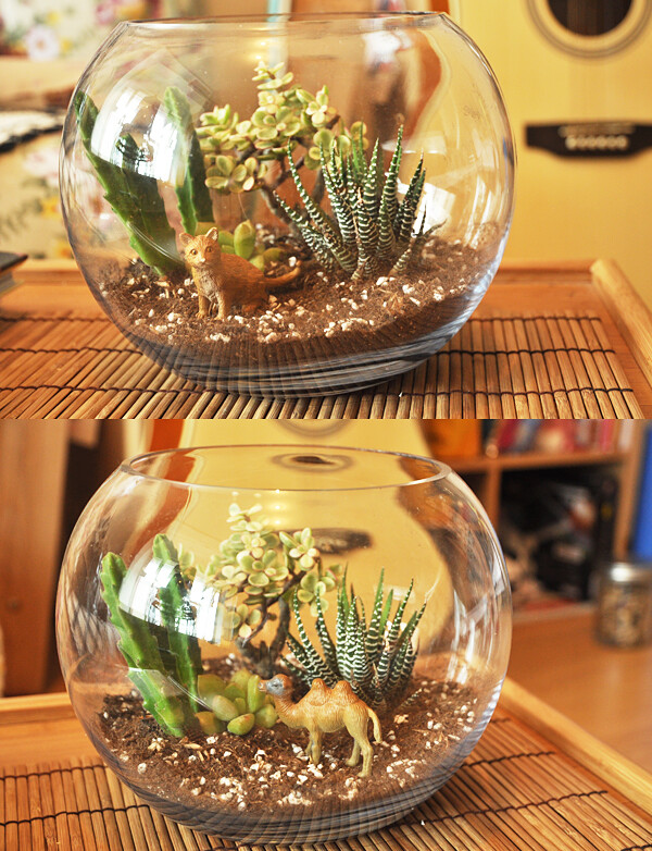 日式 组合场景 玻璃盆景 n款选