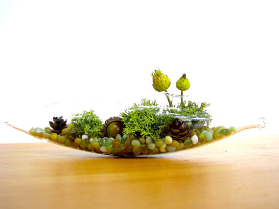 Pretty Little Fall Terrarium by TinyTerrains on Etsy Pretty Little Fall Terrarium