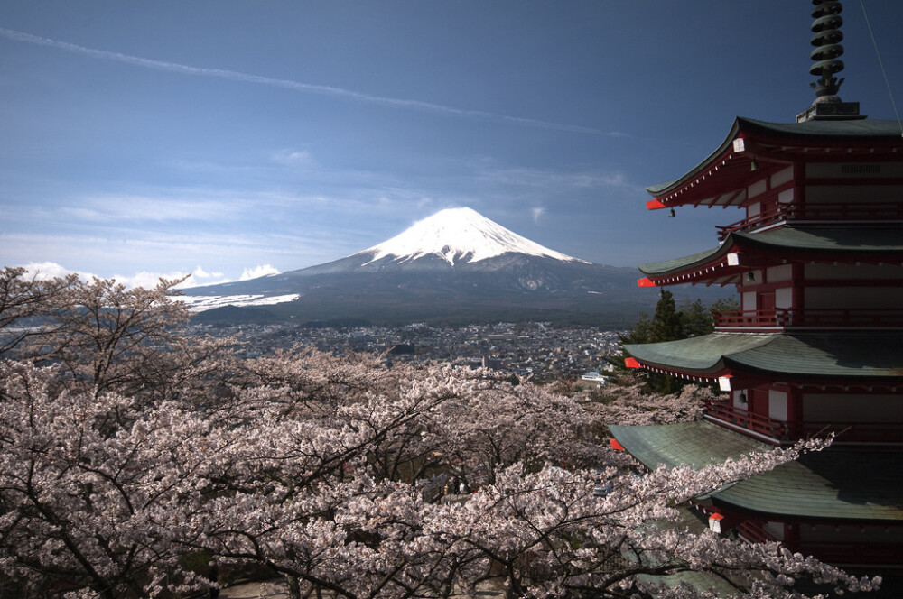 富士山下