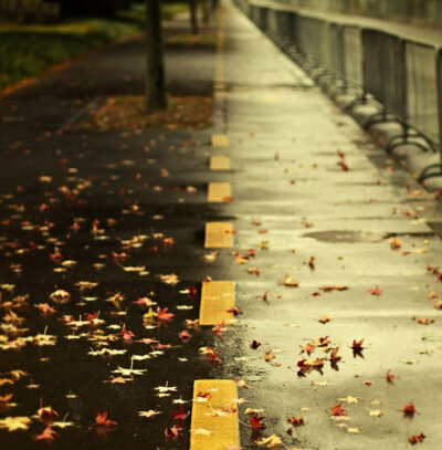 雨后的街道~~