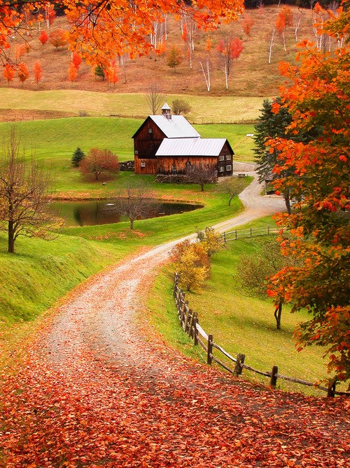 Sleepy Hollow Farm Vermont