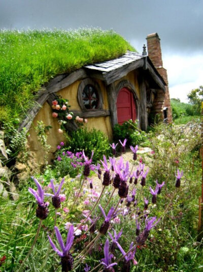 Hobbit House Rotorua New Zealand