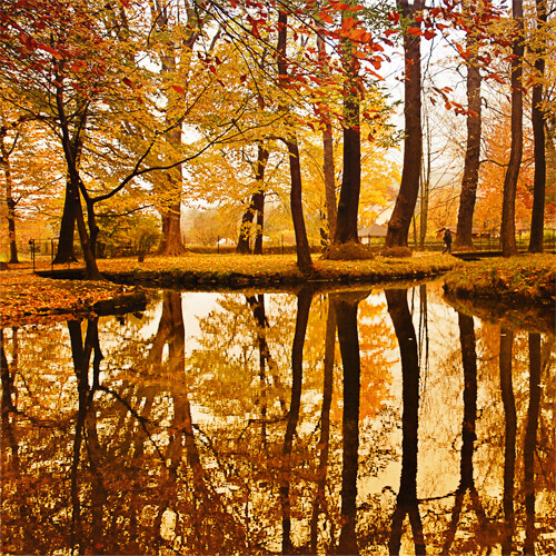 Golden Pond The Netherlands