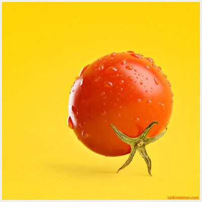 又像西红柿 又像一个东西背着壳