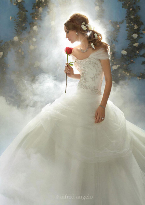 This is from the Alfred Angelo Disney Fairy Tale Weddings Collection. The Dress is Inspired by Belle