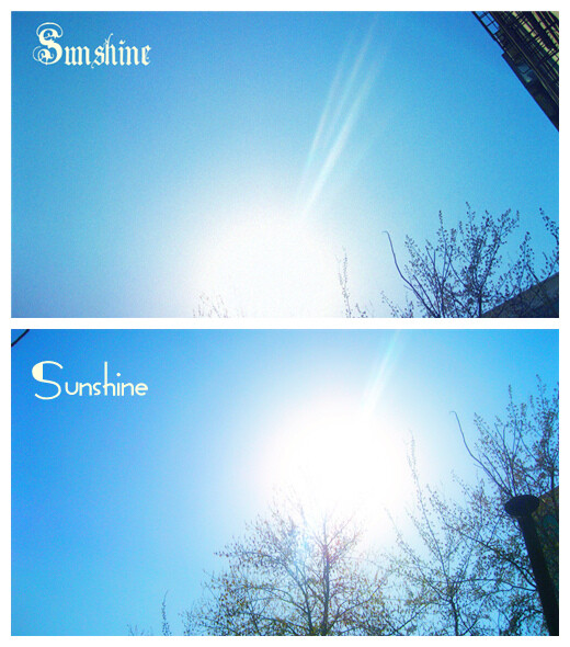 sunshine