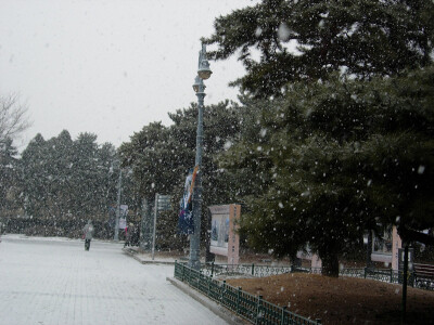 经历了 韩国有史以来 最大的雪