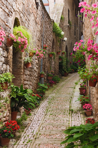 法国的吉维尼小镇，真迷人。