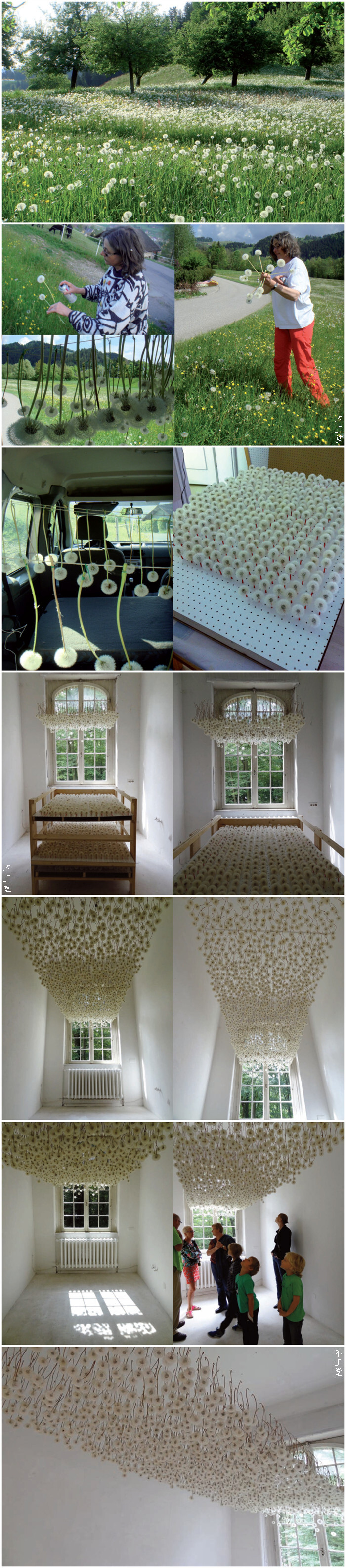 德国艺术家Regine Ramseier采摘了2000朵蒲公英制作的装置艺术作品