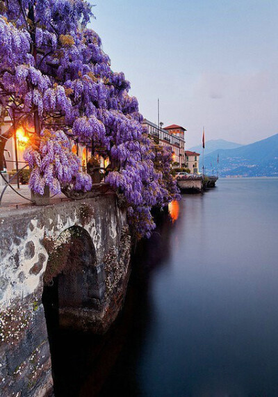 意大利Lake Como 紫色的美