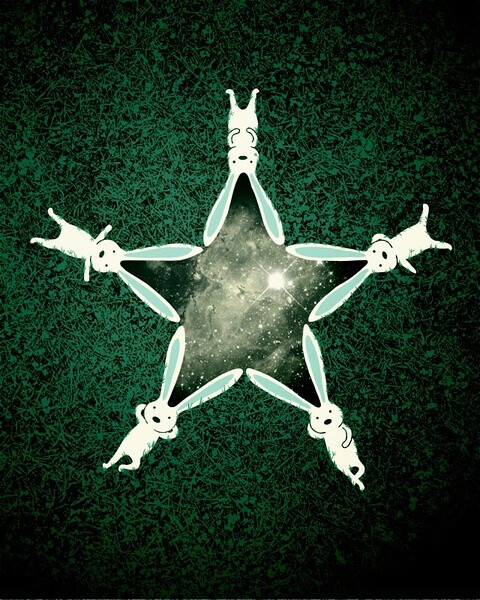 可爱兔兔 rabbit 每只都各有特色