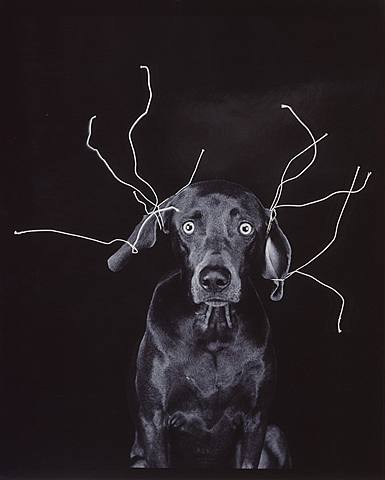 RUUD VAN EMPEL