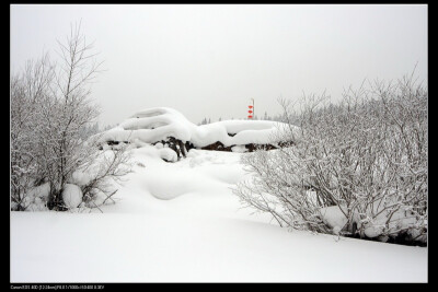 雪乡，这个冬天你想去吗？