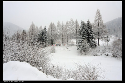 雪乡，这个冬天你想去吗？