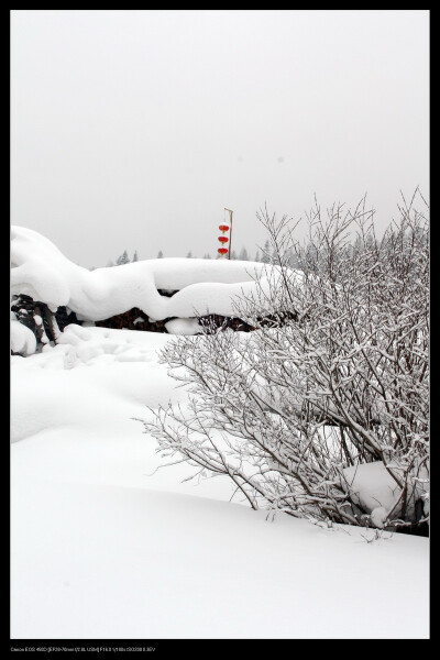 雪乡，这个冬天你想去吗？