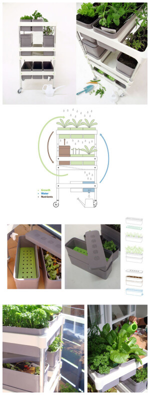 设计师Nancy Wang设计了一个由一个可移动的支架和一些装有土壤可培养蔬菜的盒子组成的移动系统，可以很方面的搁置在自家的阳台上面种植一些应季蔬菜。让家住城市、空间不够但又渴望种植的人过一把瘾。（来自网站：创意酷）