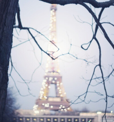 Winner's Eiffel Tour.