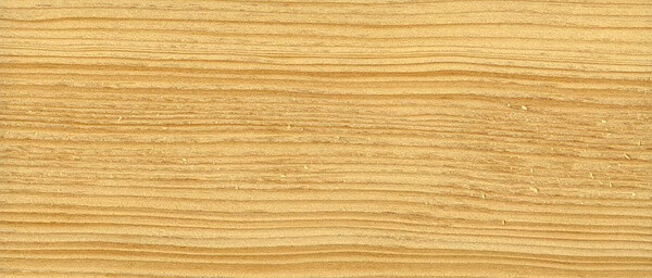 铁杉-Softwood-hemlock-