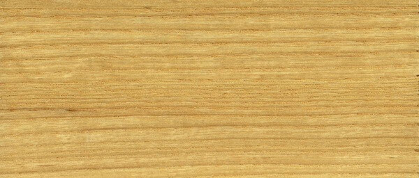 欧洲白腊木-Hardwood-europeanash-