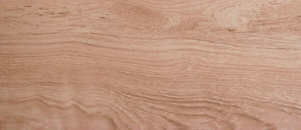 樟木-Hardwood-camphorwood-