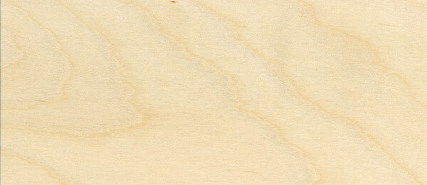 白桦-Hardwood-birch-