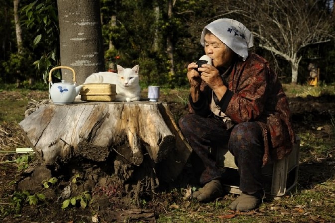 和猫咪一起野餐晒太阳。