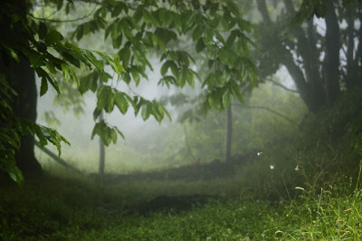 世上最美的事物-雨