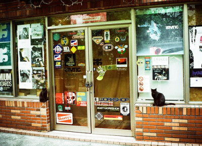 店铺前面的那两只黑猫是真的？