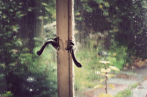 世上最美的事物-雨Rain rain come my way.