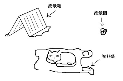 最爱的3种玩具。 废纸箱、废纸团和塑料袋。