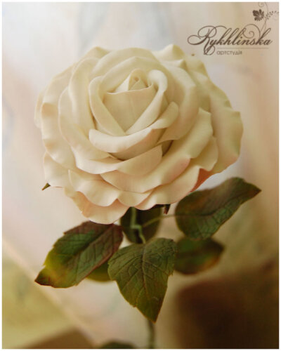 White rose - Made to order